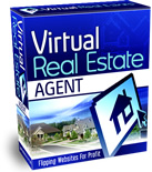 Virtual Real Estate Agent
