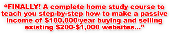 FINALLY! A complete home study course to teach you step-by-step how to make a passive income of $100,000/year buying and selling existing $200-$1,000 websites...
